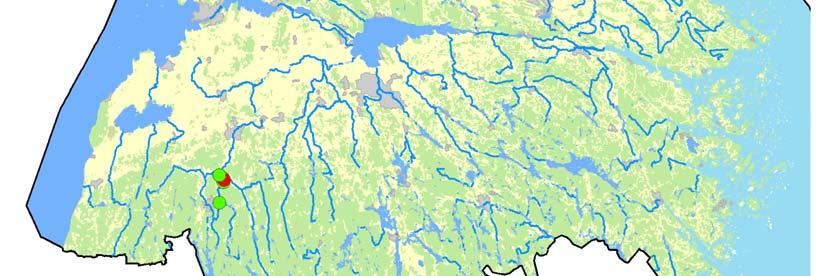 Av dessa återfanns musslor i tre vattendrag; Silverån (Ydre), Svartån (Öringe) och Lillån (Boxholm-Strålsnäs). Svartån vid Öjebro, Mjölby, saknade levande individer. (Årnfelt & Bergengren 2011).