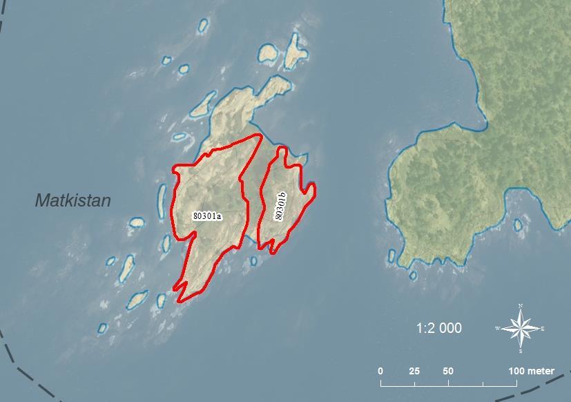 80301a Matkistan SE0540076 4 0,44 80301b Matkistan SE0540076 1 0,18 A: Klippskär med mycket sly och unga träd varav flera tallar.