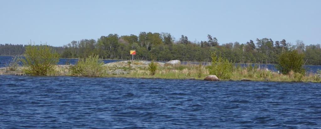 Sida 3(7) Syfte med åtgärder Måsfåglar som häckar i kolonier på skär och uddar vill ha öppna, ostörda ytor utan uppväxande buskar och träd.