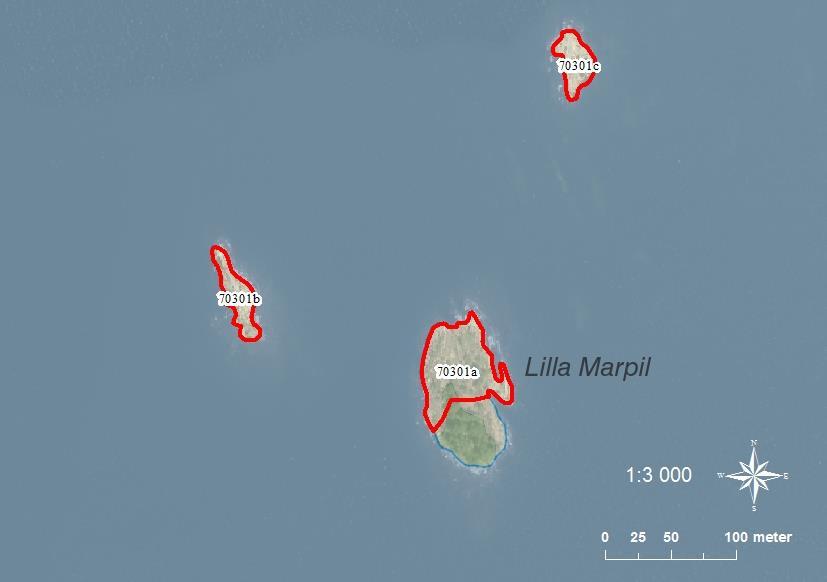 70301a Lilla Marpil med skär SE0540078 3-4 0,34 70301b Lilla Marpil med skär SE0540078 1-2 0,10 70301c Lilla Marpil med skär SE0540078 1 0,09 A: Stor skogsbeklädd ö med flera grova stora tallar.