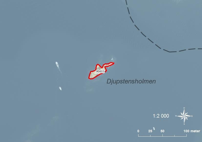 90603 Djupstensholmen SE0540085 0 0,06 Klippskär med enstaka vassdungar. Ingen igenväxning i övrigt.