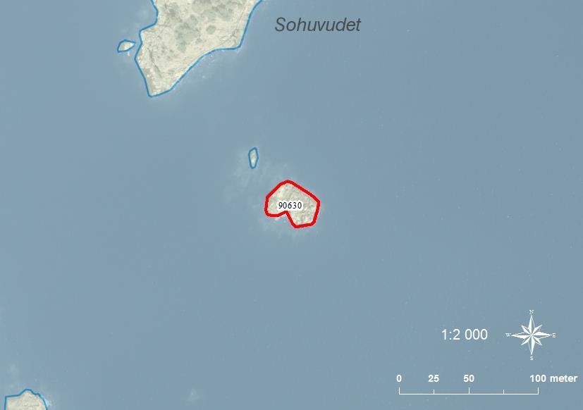 90630 Sohuvudets sydostskär SE0540085 1-2 0,08 Lite högre klippskär med några