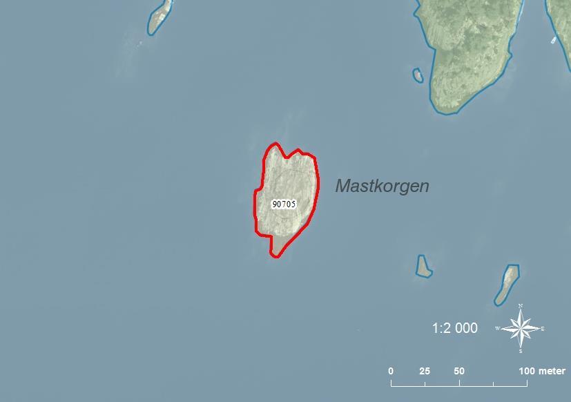 90705 Mastkorgen SE0540085 2 0,26 Klippskär med lite björksly och enstaka buskar.