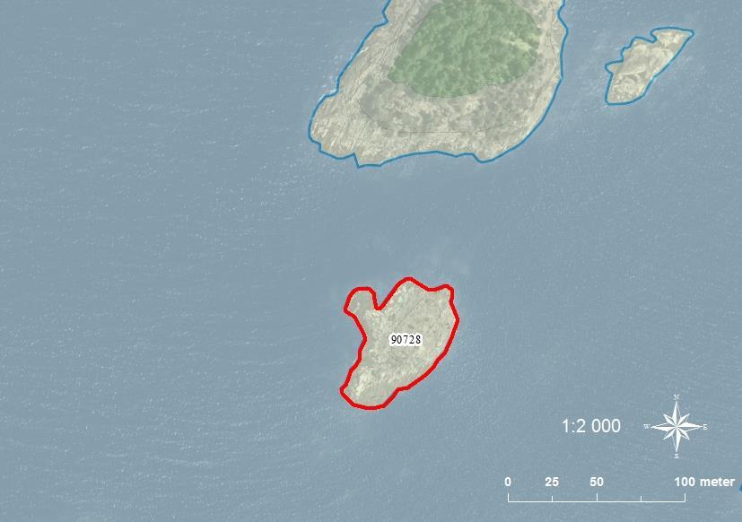 90728 Stattallarnas inre sydskär SE0540085 2-3 0,31 Klippskär med några buskar och