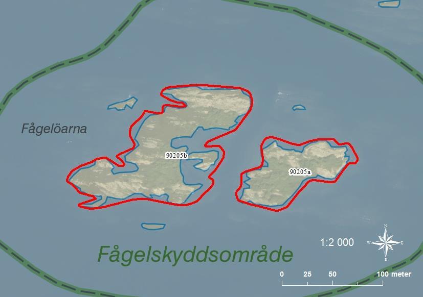 90205a Fågelöarna SE0540107 4 0,51 90205b Fågelöarna SE0540107 5 1,23 Då stränderna utmed hela Kinneviken i stort sett saknar andra skär lämpliga för fågelhäckning är dessa båda skär synnerligen