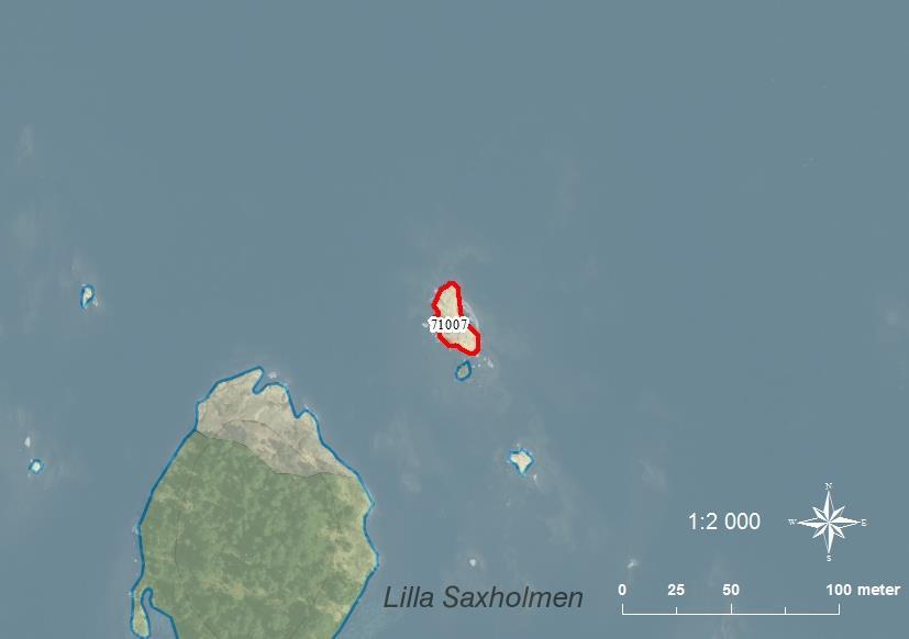 71007 L. Saxholmens nordostskär SE0540332 1 0,04 Klippskär med enstaka små buskar av klibbal och björk.