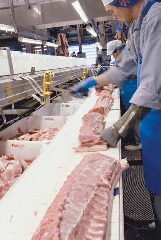 4.3 Finstyckning En stor del av det griskött som exporteras är styckningsdetaljer. Det kan antingen vara standardstycken eller enligt kundens egna specifikationer.
