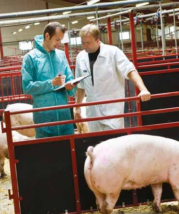 1.1.5 Rådgivning Grisproduktionsutskott: Danska grisproducenterna är organiserade i lokala lantbruksföreningar, som i sin tur ingår i Landbrug & Fødevarer.