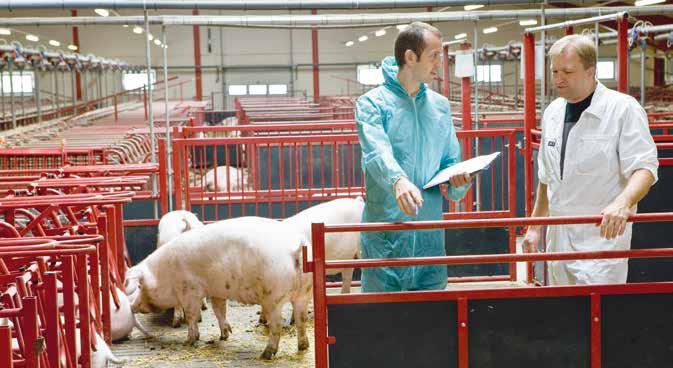 Mer än 90 % av de danska grisproducenterna har ingått skriftligt avtal om hälsorådgivning med en praktiserande veterinär.