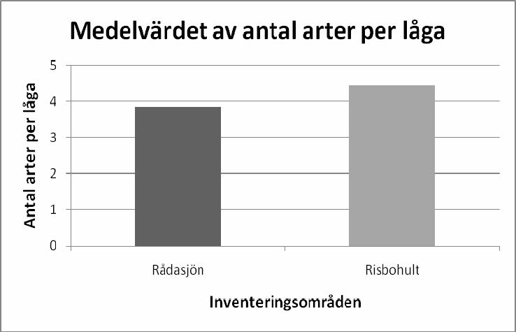 Figur 6. Medelvärde av antal arter i Rådasjön och Risbohult. Medelvärdet i Rådasjön ligger på 3.85 och i Risbohult på 4.45. 3.1.3.1 Markkontakt Andelen lågor med markkontakt varierade mellan de båda områdena.