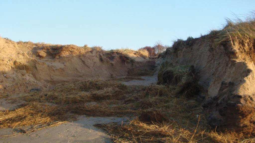 Exempel på kraftig erosion vid en gångstig över heden i