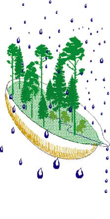 Integrerad övervakning av miljötillståndet i svensk skogsmark IM Årsrapport 2005 Integrated monitoring of the environmental status in