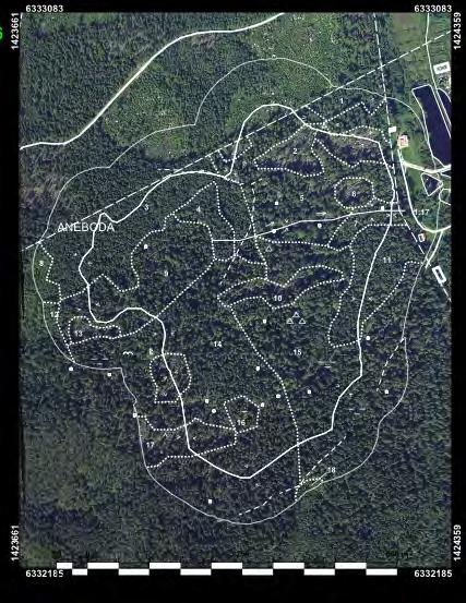 Figur 6. Skogskarta över IM-området i Aneboda upprättad av Bo Thulin, Skogsstyrelsen, Nässjö efter inventering i slutet av april 2006. Totalt kunde 18 avdelningar urskiljas.