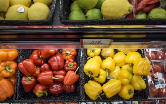 California Trays (Delikorgar) ger överlägsen ventilation och dränering: > > I kylda diskar får du effektivare kylning och god dränering och ökad hållbarhet på produkterna.