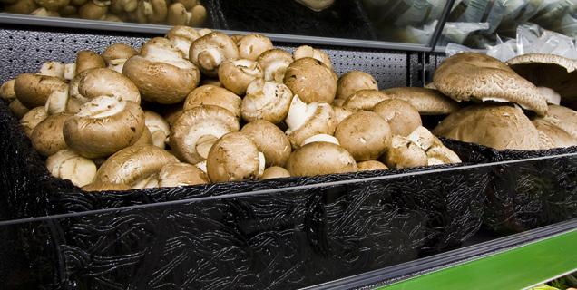 California Trays finns med upphöjd botten: > > Minskar mängden varor i exponeringen med 15-25% > > Ger ett välfyllt intryck i Frukt & Grönt-avdelningen > > Ökar omsättningshastigheten i exponeringen,