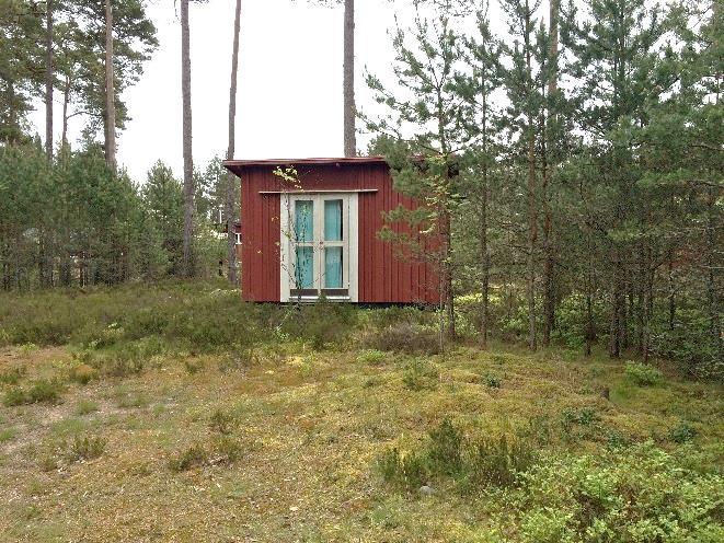 Den vanligaste naturtypen är trädbevuxna och kustnära åsar, sandfält och dyner.
