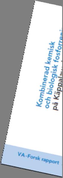 Bio P