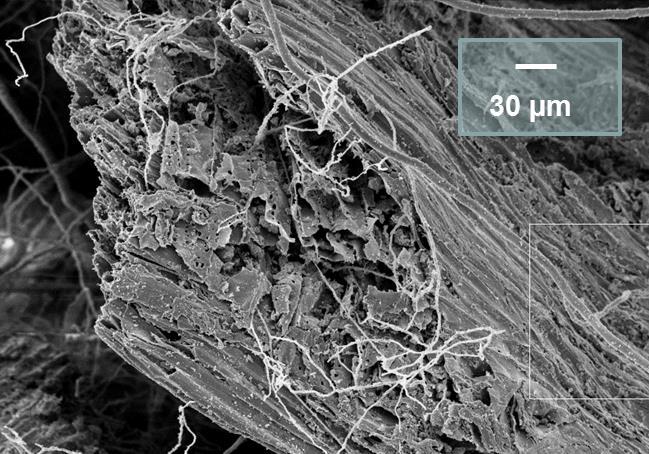 Biokolets porositet kan skifta beroende på ursprungsmaterialet som används vid pyrolysen.