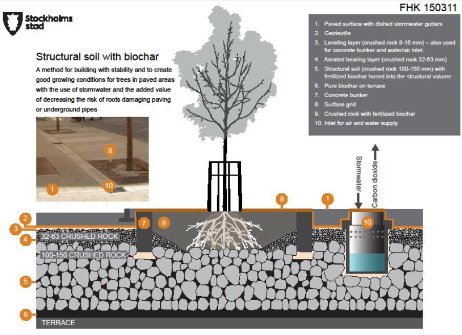 Figur 6. Schematisk illustration över nyplantering av ett träd. (Bild: The biochar journal 2016).