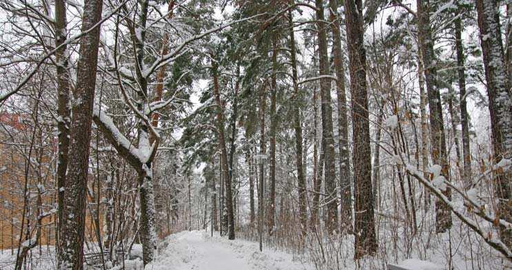 Föreningsparken till vänster.