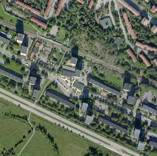 20 tallarna har föreslagits att en låg friväxande häck planteras, ca 1 meter hög. För att bevara barrskogssambandet är det också viktigt att det finns en korridor mot söder.