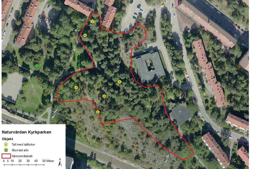 Figur 3. Naturvärden Kyrkparken.