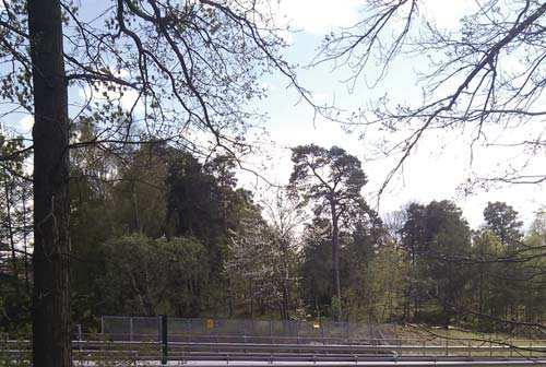 område 5