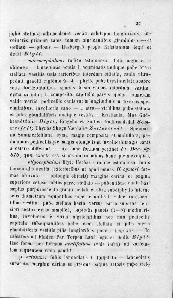 pube sfcellata albida dense vcsliti subduplo longionbus-, invohicris primum canis demum nigricantibus glanduloso et stellalo pilosis. - Husbergso propc Krislianiam legit et dedit Blytt.