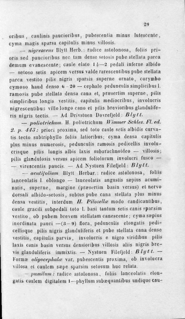 onbus cauhnis paucionliiis, pubcsrenlia minus lutesccnlc, cyma magis sparsa capitulis minus villosis.