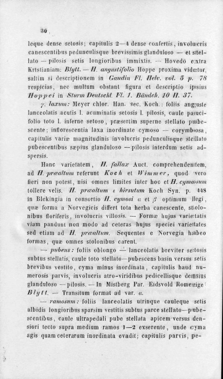 leque dense selosis; capitulis 2 4 dense conl'erlis, involmcris cancsccnlibus pediinculisque brevissirnis glandnloso etsstellalo pilosis selis longioribus immixtis.