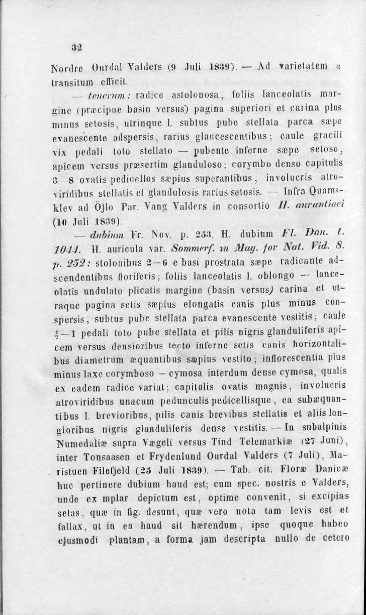 32 Nordrc Ounlal Valders (<> Juli 1839). Ad Tarietatcin «transilum effioil tmternm: radice aslolunosa, foliis lanceolatis margine (pnr-cipue basin versus) pagina superior!