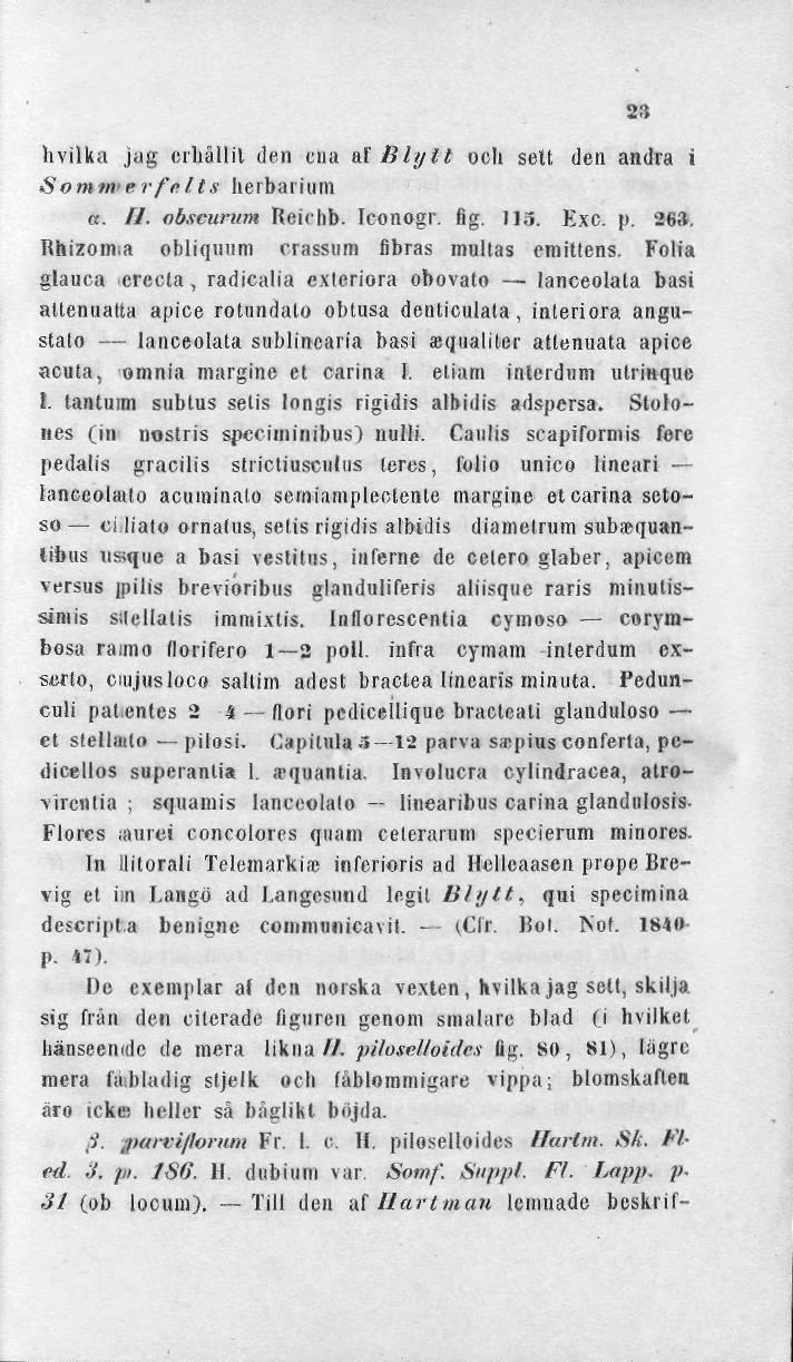 hvilka jag crliållil den ena ax Blytt oeh sett den andra i Somnverfnlts herbarium «. //. obscurum Reirhb. Iconogr. fig. 115. Exc. p. 26.1. Rhizoima obliquum crassum fibras mullas emitlens.