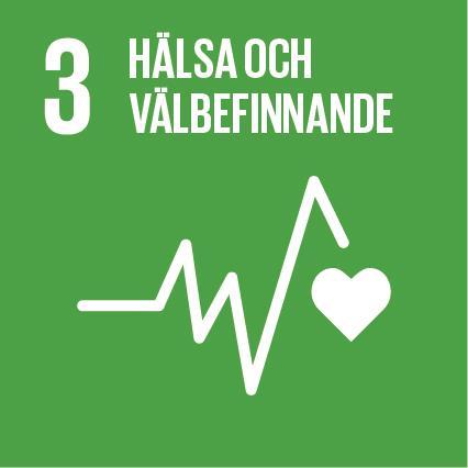 Agenda 2030 För en hållbar utveckling Säkerställa att alla kan leva ett