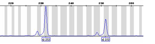 Genetisk variation inom och mellan populationer av flodpärlmusslor i Norge Mikrosatelliter CAAGCCACAAAAGTCATACTGCTAGCCATTTTTCCTCAGTGCTCACTCACACAC