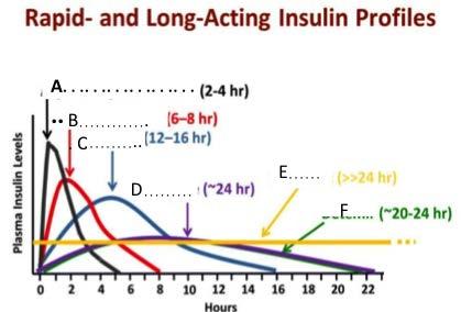 Prevalensen av diabetes varierar betydligt mellan olika länder. Vad gäller typ 1 diabetes är det vanligast förekommande i länder som Sverige, Finland, Norge och Canada.