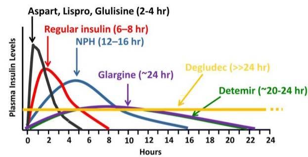 Ett korrekt alternativ per fråga- fyll i kryss! Fråga 4.1 Vilken är den vanligaste formen av diabetesneuropati?