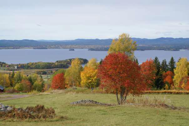 flacka slänten mot Orsasjön till mindre delar. Detta gör också att panoramat ner mot sjön och vidare bort mot Orsa och dess kyrka klipps av med jämna mellanrum.