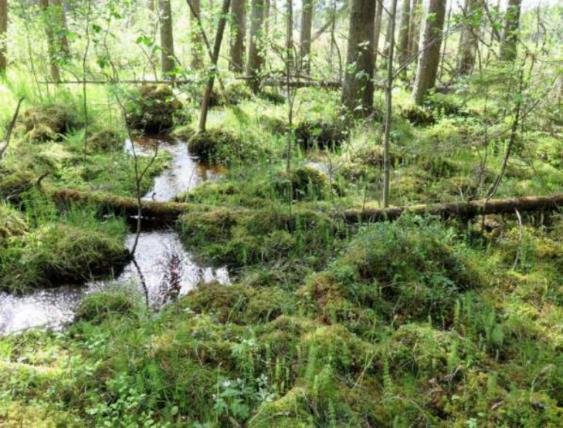 Järnvägen (Inlandsbanan) som ligger intill området trafikeras med några få tåg per dygn.