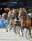 e Marion Mad Money - 18: 0 0-0-0 0 17: 14 1-0-2 17,7 30 900 Tot: 27 1-1-2 Nyby Sunshine e Running Sea Johansson T S U 20/10-1 1/ 2140 3 18,6 a c c 136 5 Uppf: Andersson Marie, Västerås Johansson T S