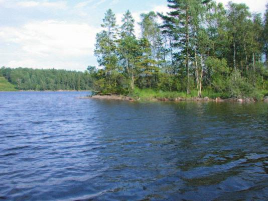 Undervattensvegetation Undervattensfloran bestod av 8 kärlväxter och en kransalg.