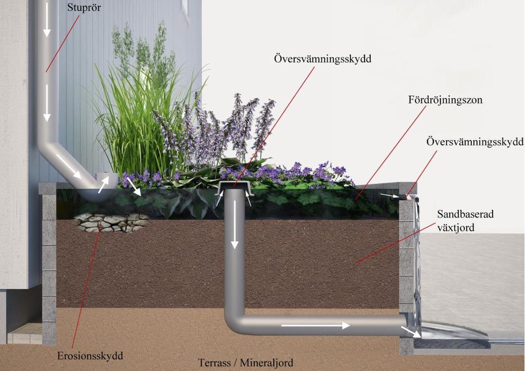 Rain gardens kan anläggas i direkt anslutning till fastigheter. Uppsamlat regnvatten från takytor leds till rain gardens via stuprör.