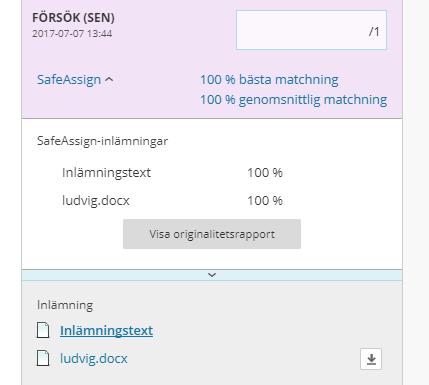 Här lämnade studenten in två texter och både har gett utslag i SafeAssign. Klicka på knappen Visa originalitetsrapport för mer information. Då öppnas rapporten i en ny flik/fönster.