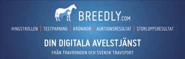 MILL ZORN 0:, AM Tot: 0 0-0-.00,mbr.v.e Dream Vacation - : 0-0-,a.00 : 0-0-,a 0.