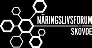 Verksamhetsplan 2017-2019 för Näringslivsforum 1. Vision och Värdegrund 1.
