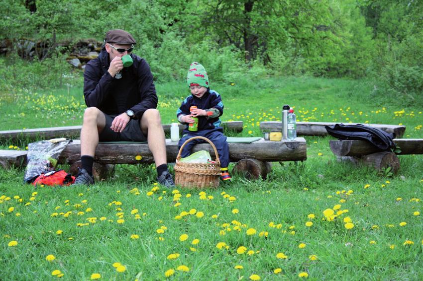 Packa picknickkorgen och ta med dig lunchen eller middagen ut.