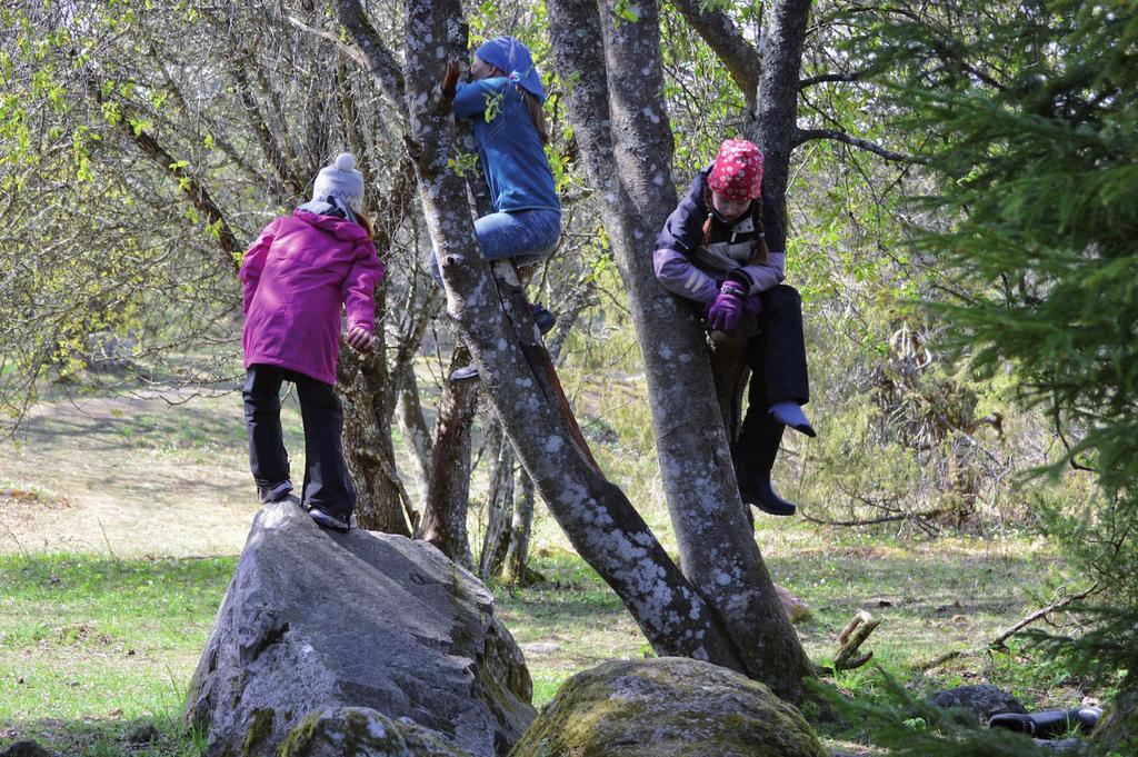 Genom naturskoleverksamheten får