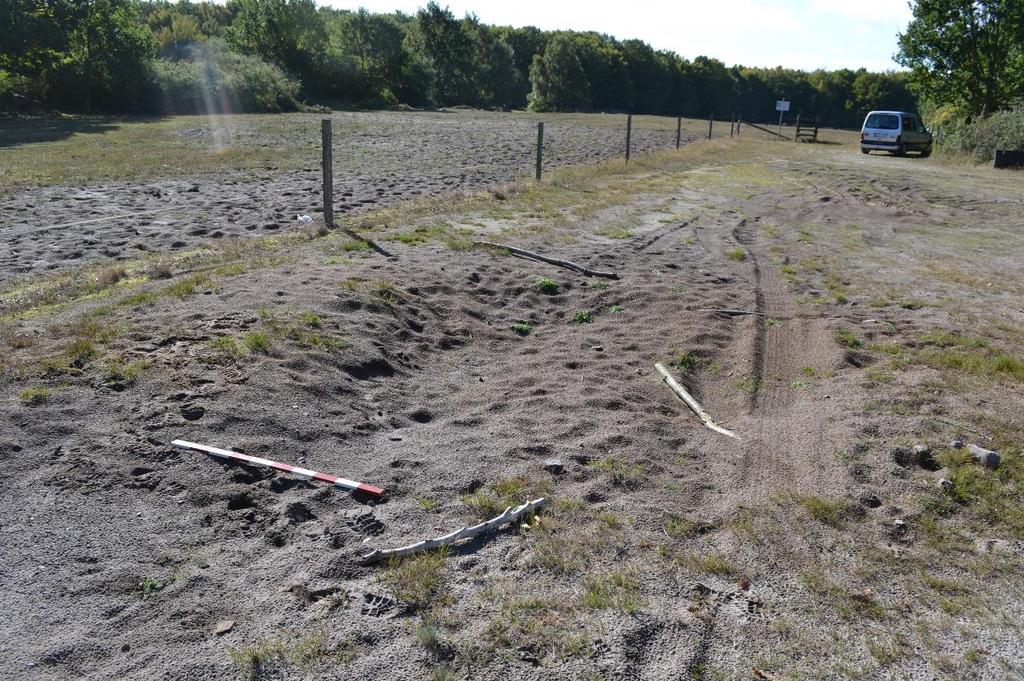 Figur 3. Den skadade ytan innan undersökningen påbörjades. Man kan i bildens förgrund se områden med öppen sand inom parkeringen. Avsaknaden av bärlager medför en stor risk för nya körskador.