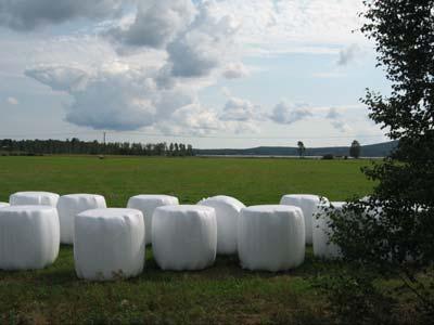 Lantbruket Ansvarig: Länsstyrelsens enhet för lantbruk och länsveterinär 2007 Under oktober inventeras markanvändningen.