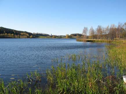 Övrigt Dessutom kvarstår följande: undersöka behovet av vegetationsbekämpning december MÖL ta reda på hur grundvattenutbytet sker 2008 SE undersöka sedimentens betydelse 2008 CÅ