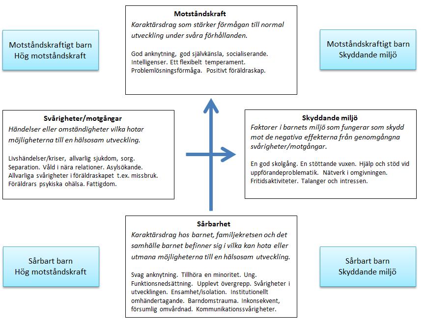 Fem grundläggande frågor När de initiala observationerna utifrån välbefinnandehjulet och min världstriangel är gjorda görs djupare observationer där det bedömts nödvändigt.